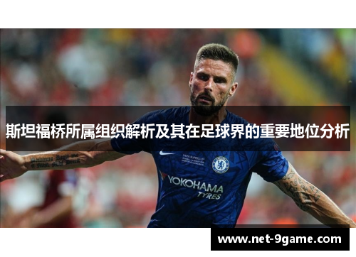 斯坦福桥所属组织解析及其在足球界的重要地位分析