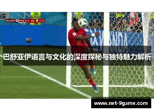巴舒亚伊语言与文化的深度探秘与独特魅力解析