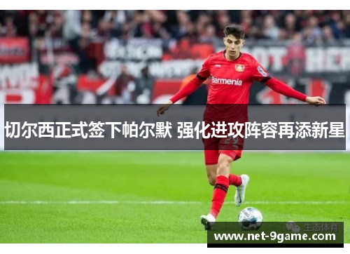 切尔西正式签下帕尔默 强化进攻阵容再添新星