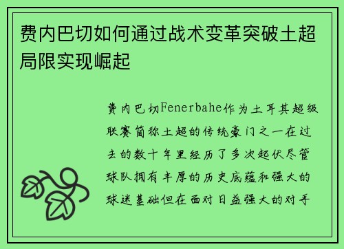 费内巴切如何通过战术变革突破土超局限实现崛起