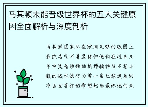 马其顿未能晋级世界杯的五大关键原因全面解析与深度剖析