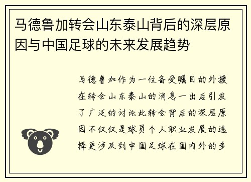 马德鲁加转会山东泰山背后的深层原因与中国足球的未来发展趋势