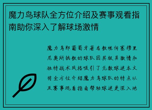 魔力鸟球队全方位介绍及赛事观看指南助你深入了解球场激情
